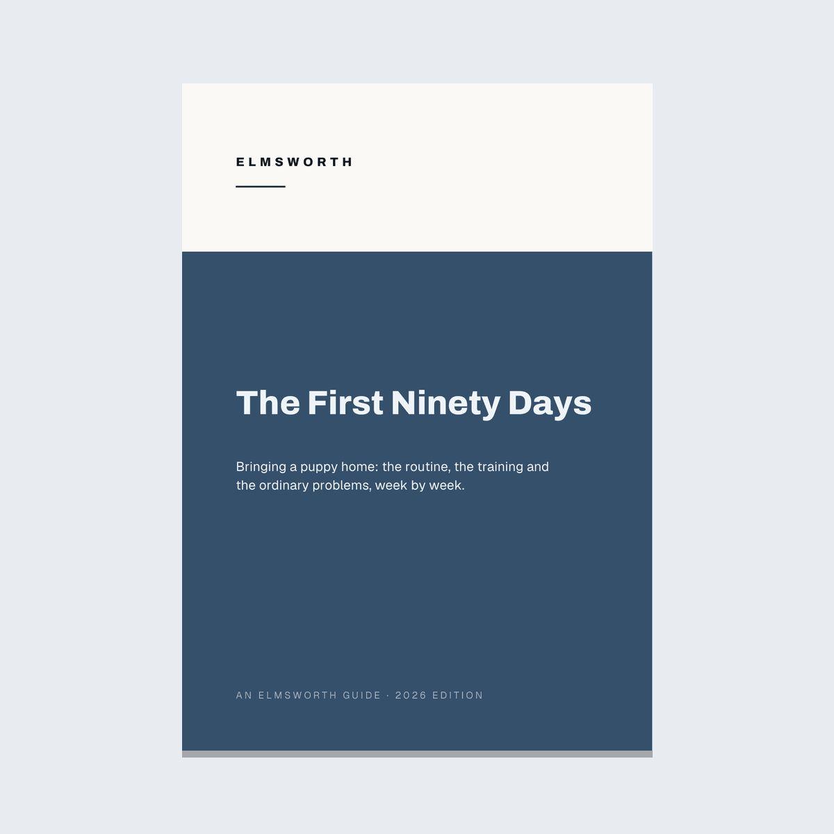 The First Ninety Days — pages from the guide — photo 1 of 5